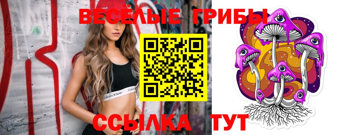 Галлюциногенные грибы Magic Shrooms  Вход с VPN  Знаменск 
